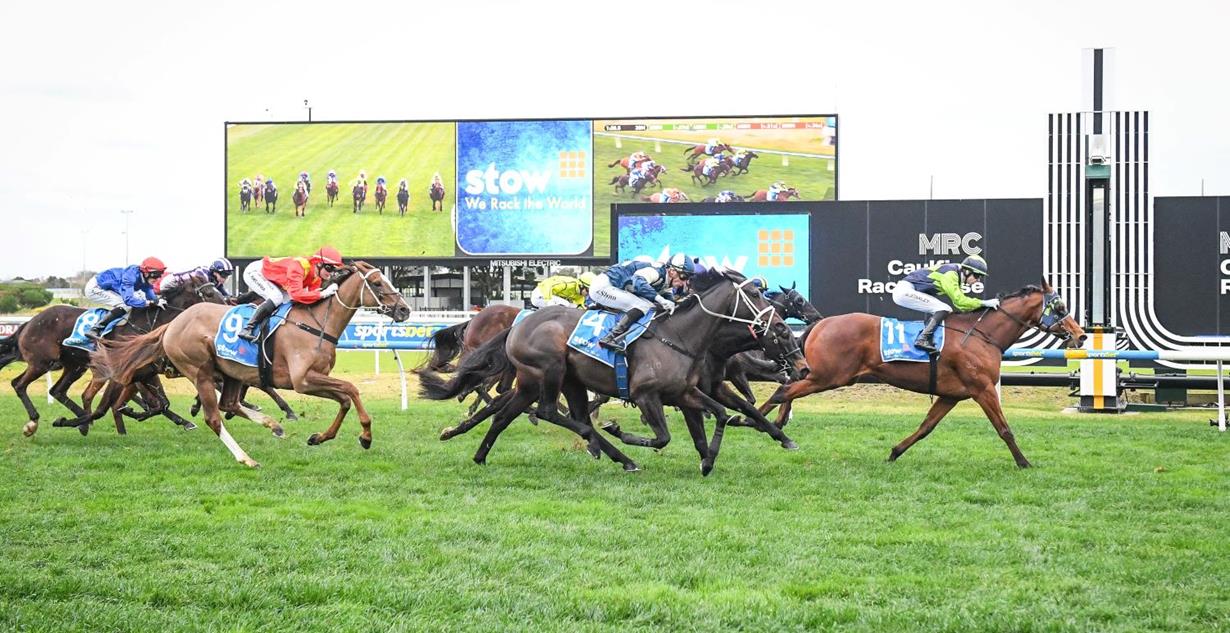 El Rocko - Caulfield 26th July 2025